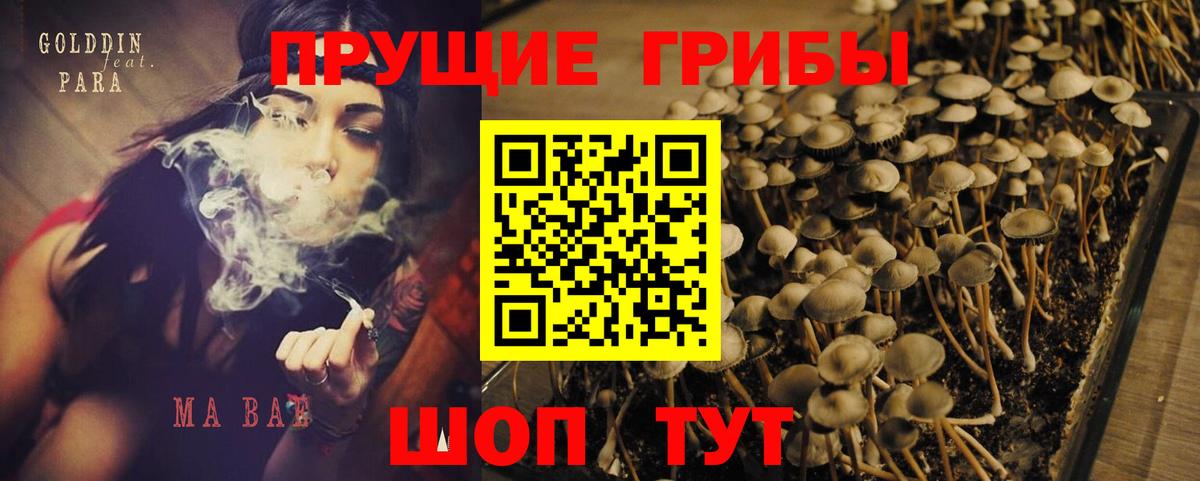 Псилоцибиновые грибы ЛСД Коммунар