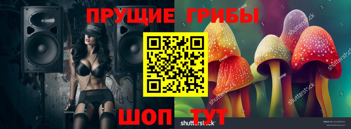 Псилоцибиновые грибы мицелий  Вход с VPN  Коммунар 